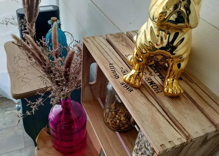 La Cabane De Thau Location Cure Ou Vacances A Balaruc Les Bains